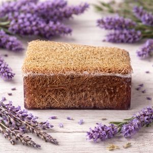 Lavanta Özlü Kabak Lifli Sabun